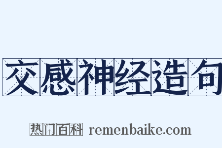 交感神经造句是什么意思的图片